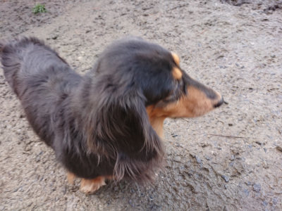 f:id:roukenhome-ann:20190202204530j:plain