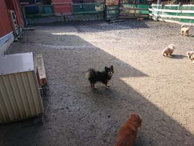 f:id:roukenhome-ann:20190202205120j:plain