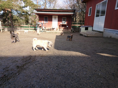 f:id:roukenhome-ann:20190202205126j:plain