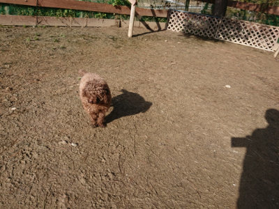 f:id:roukenhome-ann:20190203052750j:plain