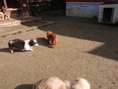 f:id:roukenhome-ann:20190203052904j:plain