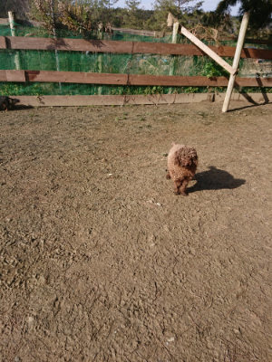 f:id:roukenhome-ann:20190203053004j:plain
