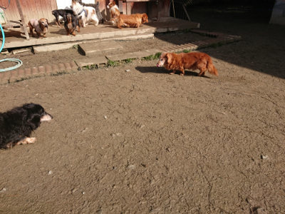 f:id:roukenhome-ann:20190203053026j:plain