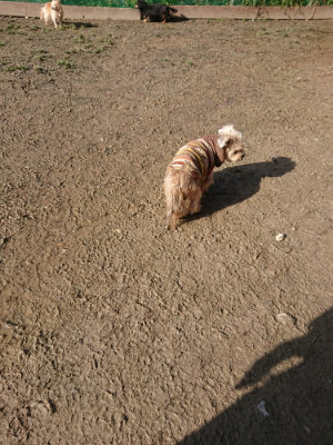f:id:roukenhome-ann:20190203053031j:plain