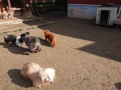 f:id:roukenhome-ann:20190203053047j:plain