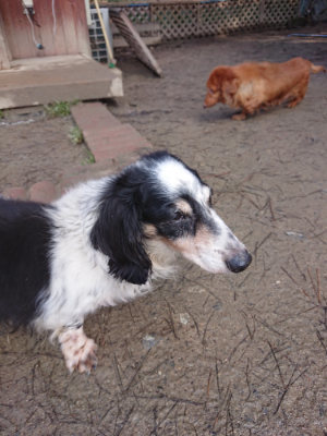 f:id:roukenhome-ann:20190203053224j:plain