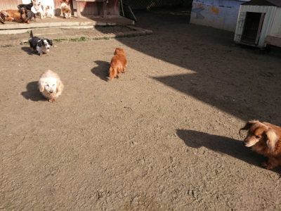 f:id:roukenhome-ann:20190203053301j:plain