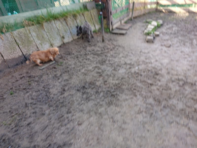f:id:roukenhome-ann:20190203053326j:plain