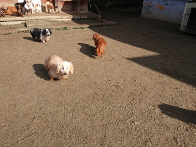 f:id:roukenhome-ann:20190203053336j:plain