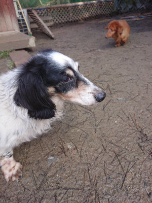f:id:roukenhome-ann:20190203053352j:plain