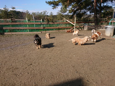 f:id:roukenhome-ann:20190203053619j:plain