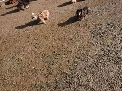 f:id:roukenhome-ann:20190203053647j:plain