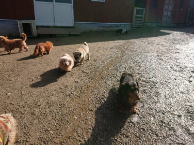 f:id:roukenhome-ann:20190203053708j:plain