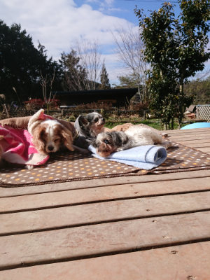 f:id:roukenhome-ann:20190203053720j:plain