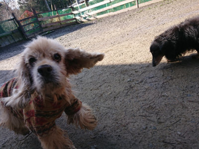 f:id:roukenhome-ann:20190203064554j:plain