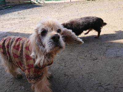 f:id:roukenhome-ann:20190203064619j:plain