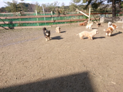 f:id:roukenhome-ann:20190203064642j:plain