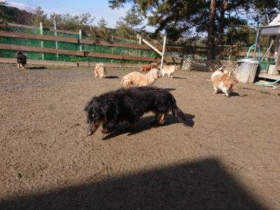 f:id:roukenhome-ann:20190203064708j:plain