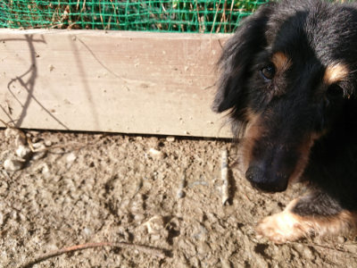 f:id:roukenhome-ann:20190203064723j:plain