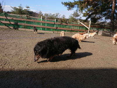 f:id:roukenhome-ann:20190203064735j:plain