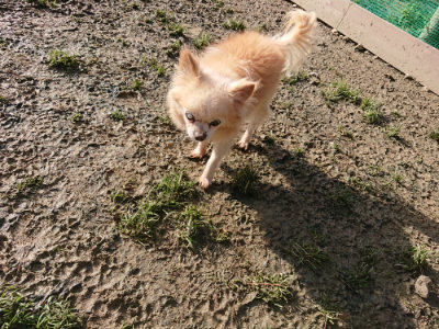f:id:roukenhome-ann:20190203064817j:plain