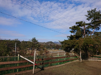 f:id:roukenhome-ann:20190203064836j:plain
