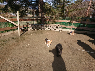 f:id:roukenhome-ann:20190203064848j:plain