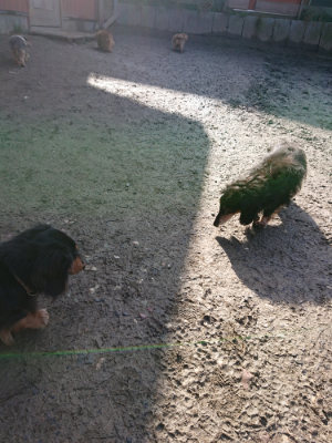 f:id:roukenhome-ann:20190203072123j:plain