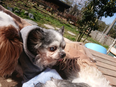 f:id:roukenhome-ann:20190203072214j:plain