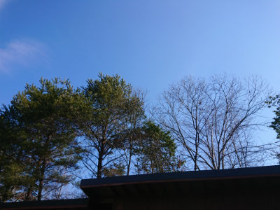 f:id:roukenhome-ann:20190203072219j:plain
