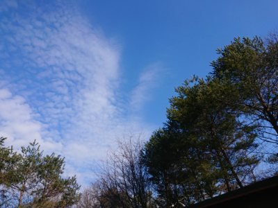 f:id:roukenhome-ann:20190203072241j:plain