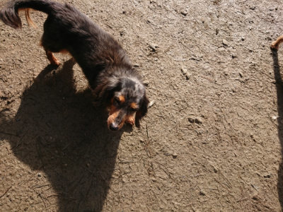 f:id:roukenhome-ann:20190203072258j:plain