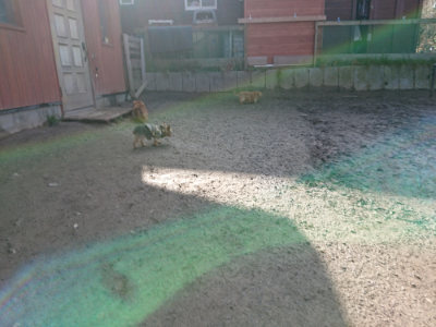 f:id:roukenhome-ann:20190203072308j:plain