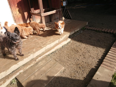 f:id:roukenhome-ann:20190203072319j:plain