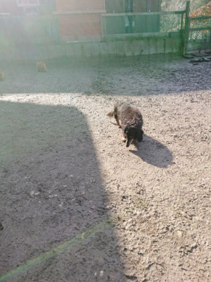 f:id:roukenhome-ann:20190203072331j:plain