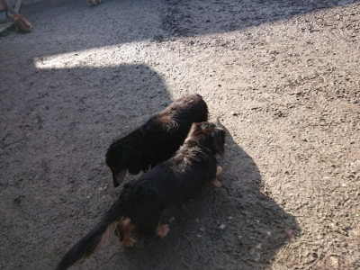 f:id:roukenhome-ann:20190203072511j:plain