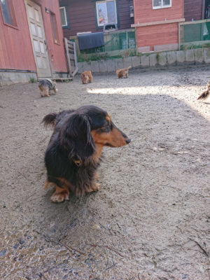 f:id:roukenhome-ann:20190203072527j:plain