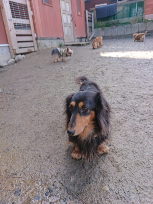 f:id:roukenhome-ann:20190203072554j:plain