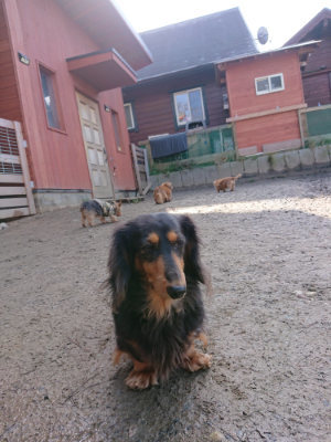 f:id:roukenhome-ann:20190203072600j:plain