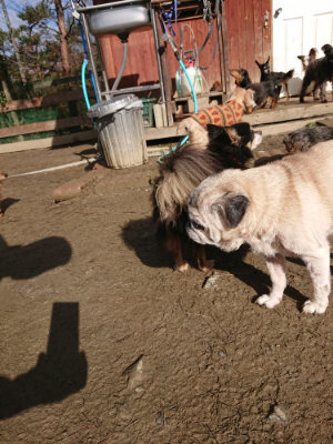 f:id:roukenhome-ann:20190203072606j:plain