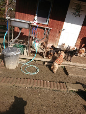 f:id:roukenhome-ann:20190203072629j:plain