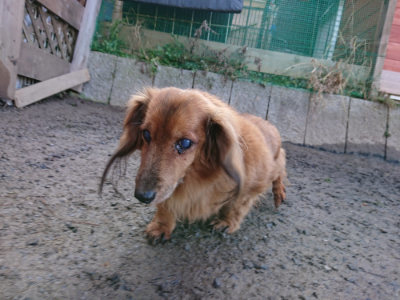 f:id:roukenhome-ann:20190203074148j:plain