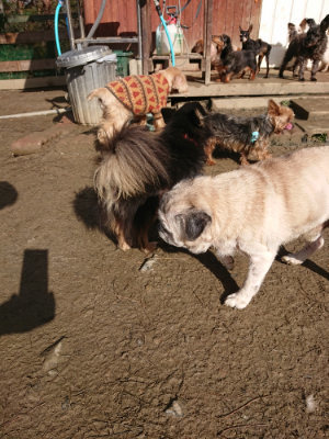f:id:roukenhome-ann:20190203074222j:plain