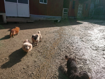 f:id:roukenhome-ann:20190203074235j:plain
