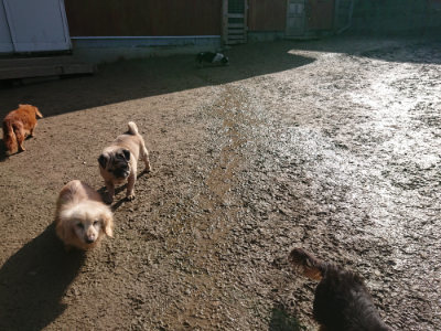 f:id:roukenhome-ann:20190203074310j:plain