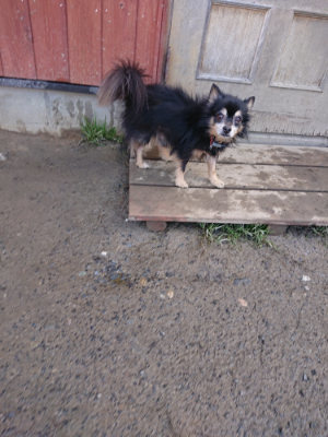 f:id:roukenhome-ann:20190203074350j:plain