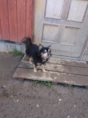 f:id:roukenhome-ann:20190203074504j:plain