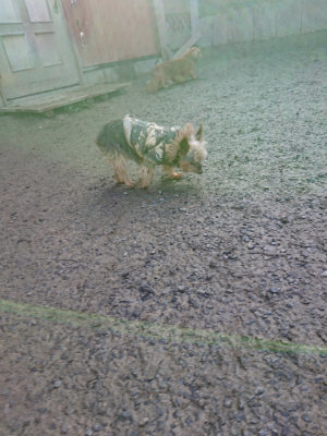 f:id:roukenhome-ann:20190203074525j:plain