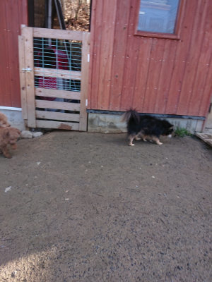 f:id:roukenhome-ann:20190203074532j:plain