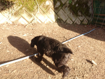 f:id:roukenhome-ann:20190203174826j:plain